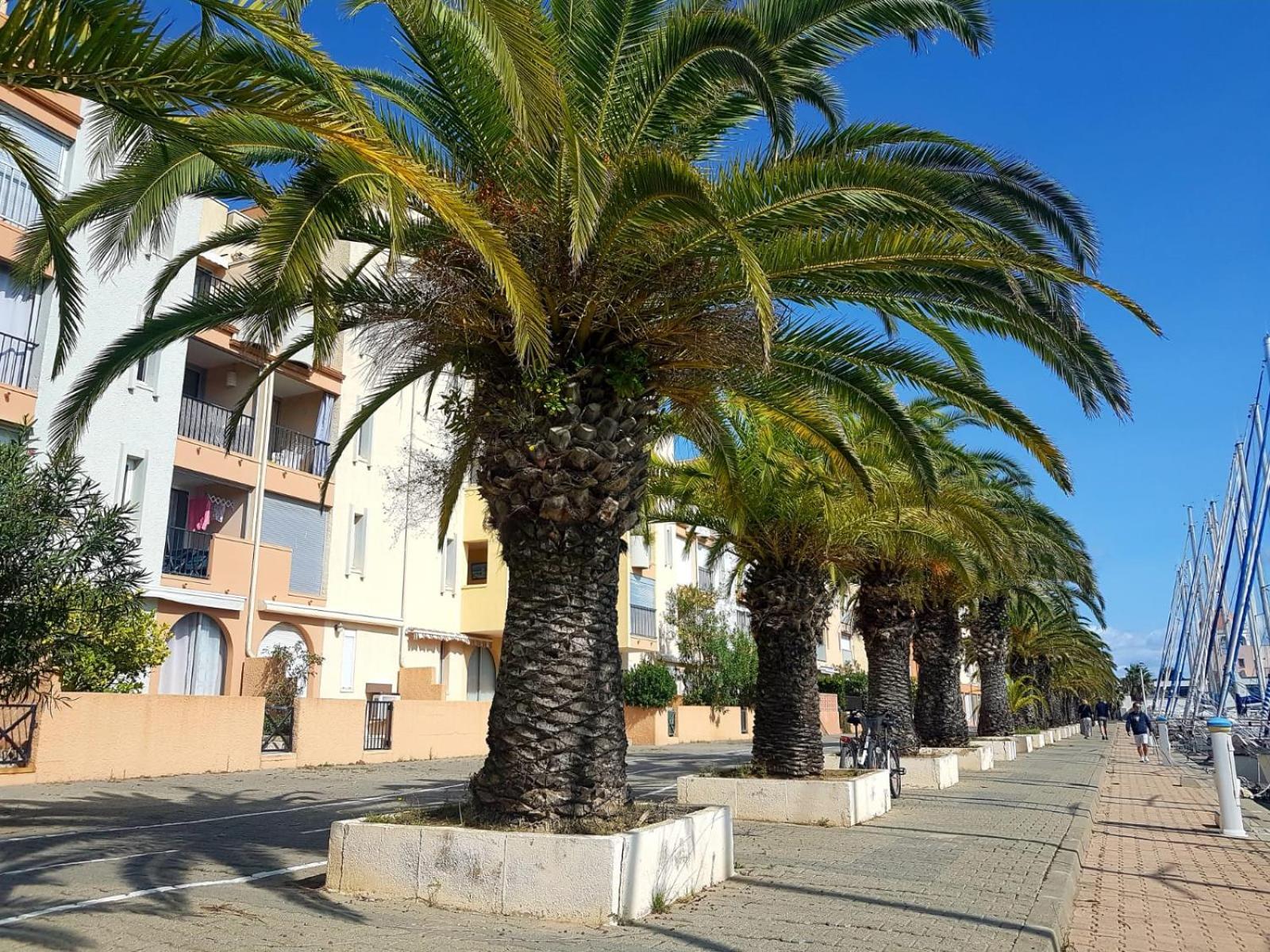 Appartamento T2 Sur Le Port Avec Parking Gruissan Esterno foto